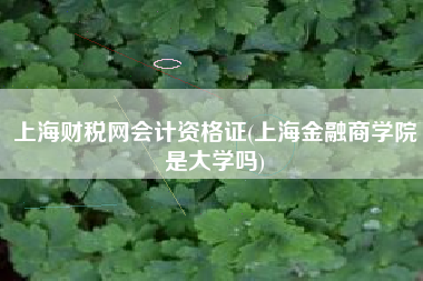 上海财税网会计资格证(上海金融商学院是大学吗)