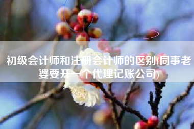 初级会计师和注册会计师的区别(同事老婆要开一个代理记账公司)