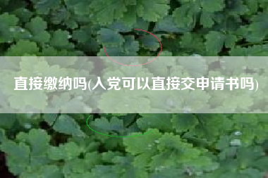直接缴纳吗(入党可以直接交申请书吗)