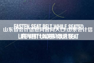 山东省会计信息网官网入口(山东会计信息网用什么浏览器进好)