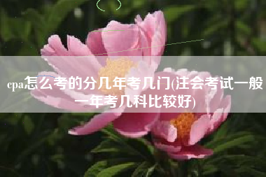 cpa怎么考的分几年考几门(注会考试一般一年考几科比较好)