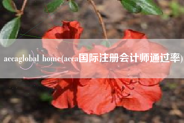 accaglobal home(acca国际注册会计师通过率)
