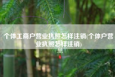 个体工商户营业执照怎样注销(个体户营业执照怎样注销)
