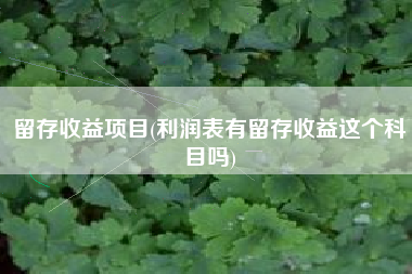 详细阅读:留存收益项目(利润表有留存收益这个科目吗) 留存收益项目(利润表有留存收益这个科目吗)