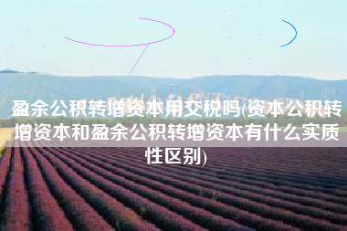 盈余公积转增资本用交税吗(资本公积转增资本和盈余公积转增资本有什么实质性区别)