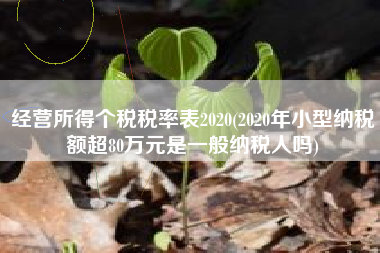 经营所得个税税率表2020(2020年小型纳税额超80万元是一般纳税人吗)