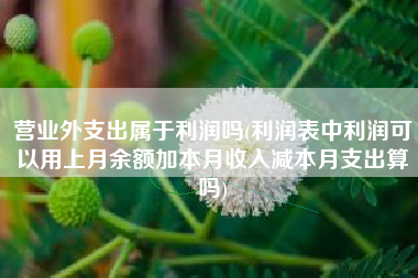 营业外支出属于利润吗(利润表中利润可以用上月余额加本月收入减本月支出算吗)
