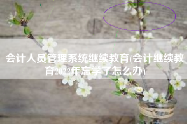 会计人员管理系统继续教育(会计继续教育2022年忘学了怎么办)