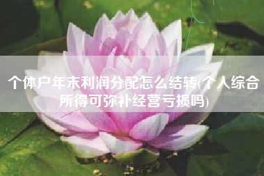 个体户年末利润分配怎么结转(个人综合所得可弥补经营亏损吗)