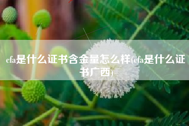 cfa是什么证书含金量怎么样(cfa是什么证书广西)