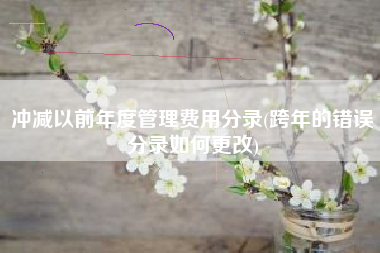 冲减以前年度管理费用分录(跨年的错误分录如何更改)