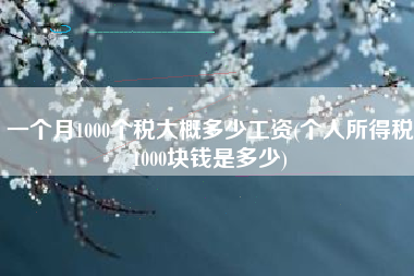 一个月1000个税大概多少工资(个人所得税1000块钱是多少)