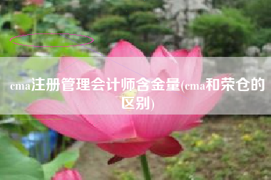 cma注册管理会计师含金量(cma和荣仓的区别)