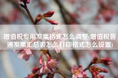 增值税专用发票格式怎么调整(增值税普通发票汇总表怎么打印格式怎么设置)