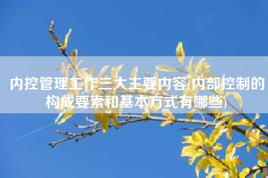 内控管理工作三大主要内容(内部控制的构成要素和基本方式有哪些)