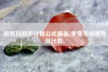 销售利润率计算公式最新(零售毛利率如何计算)