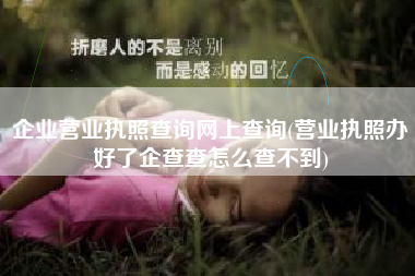 详细阅读:企业营业执照查询网上查询(营业执照办好了企查查怎么查不到) 企业营业执照查询网上查询(营业执照办好了企查查怎么查不到)