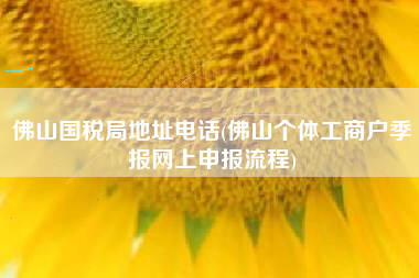 详细阅读:佛山国税局地址电话(佛山个体工商户季报网上申报流程) 佛山国税局地址电话(佛山个体工商户季报网上申报流程)