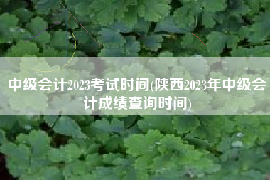 中级会计2023考试时间(陕西2023年中级会计成绩查询时间)