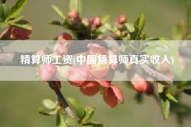 精算师工资(中国精算师真实收入)