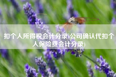 扣个人所得税会计分录(公司确认代扣个人保险费会计分录)