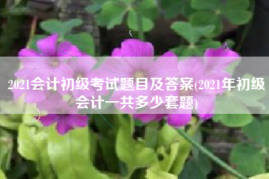 2021会计初级考试题目及答案(2021年初级会计一共多少套题)