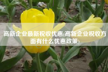 高新企业最新税收优惠(高新企业税收方面有什么优惠政策)