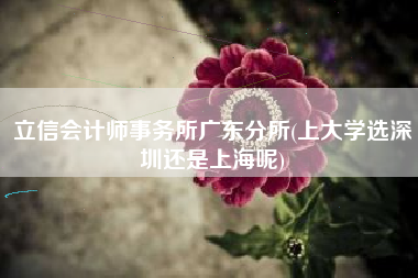 立信会计师事务所广东分所(上大学选深圳还是上海呢)