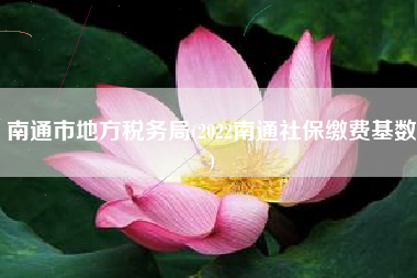 南通市地方税务局(2022南通社保缴费基数)