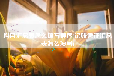 科目汇总表怎么填写顺序(记账凭证汇总表怎么填写)