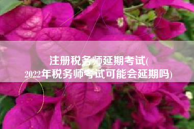注册税务师延期考试(
2022年税务师考试可能会延期吗)