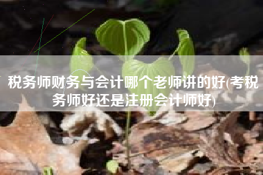 税务师财务与会计哪个老师讲的好(考税务师好还是注册会计师好)