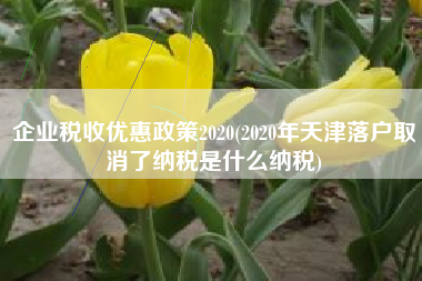企业税收优惠政策2020(2020年天津落户取消了纳税是什么纳税)