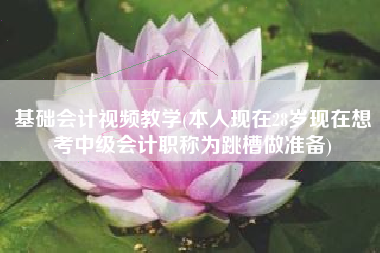 基础会计视频教学(本人现在28岁现在想考中级会计职称为跳槽做准备)
