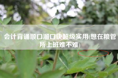会计背诵顺口溜口诀超级实用(想在粮管所上班难不难)