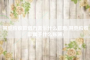 其他应收款借方表示什么意思(其他应收款属于什么账簿)