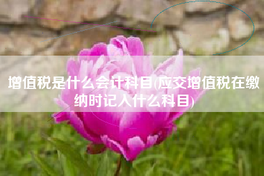 增值税是什么会计科目(应交增值税在缴纳时记入什么科目)