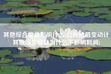 其他综合收益影响什么(公允价值变动计其他综合收益为什么不影响利润)