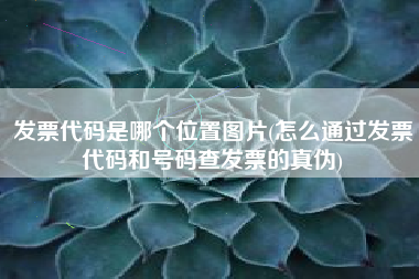 发票代码是哪个位置图片(怎么通过发票代码和号码查发票的真伪)