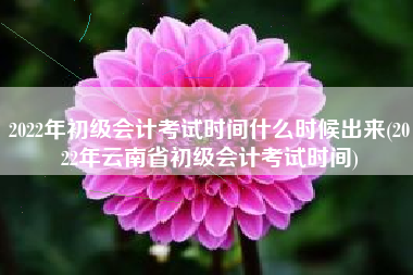 2022年初级会计考试时间什么时候出来(2022年云南省初级会计考试时间)