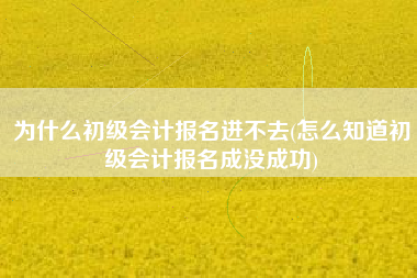 为什么初级会计报名进不去(怎么知道初级会计报名成没成功)