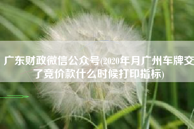 广东财政微信公众号(2020年月广州车牌交了竞价款什么时候打印指标)