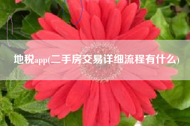 地税app(二手房交易详细流程有什么)