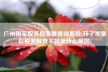 广州国家税务局发票查询系统(开了发票后税务局查不到是什么原因)