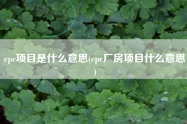epc项目是什么意思(epc厂房项目什么意思)