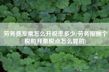 劳务费发票怎么开税率多少(劳务报酬个税和开票税点怎么算的)