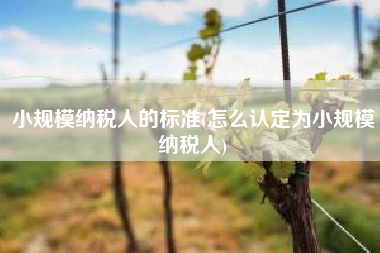 小规模纳税人的标准(怎么认定为小规模纳税人)