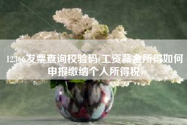 12366发票查询校验码(工资薪金所得如何申报缴纳个人所得税)