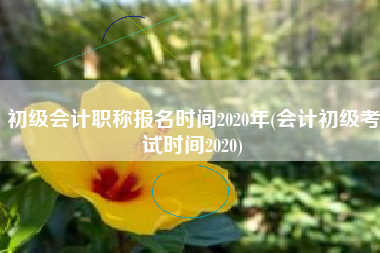 详细阅读:初级会计职称报名时间2020年(会计初级考试时间2020) 初级会计职称报名时间2020年(会计初级考试时间2020)