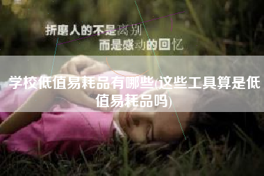 详细阅读:学校低值易耗品有哪些(这些工具算是低值易耗品吗) 学校低值易耗品有哪些(这些工具算是低值易耗品吗)